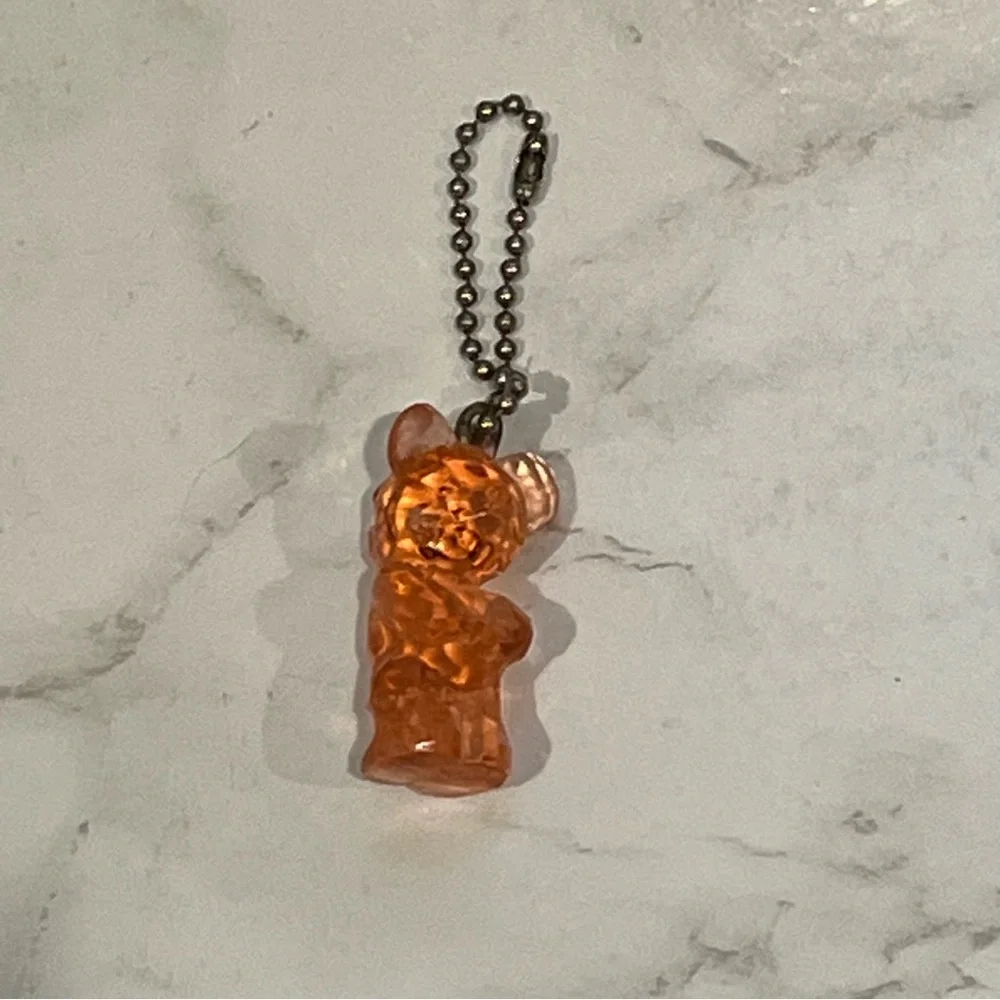 Prism Teddy Bear Plastic Keychain Keyring Keytag Bagtag Zipper Pull